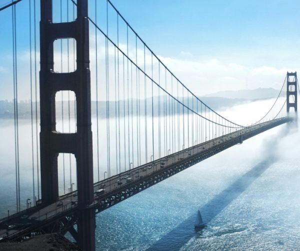 Guardians of the bridges